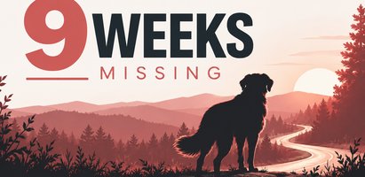 article 1 service dog